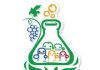 Startup Weekend Moldova: proiecte inedite, idei imprevizibile