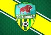 Amical de elită pentru Zimbru
