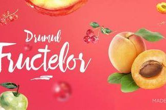 Drumul Fructelor – încurajarea consumului de fructe autohtone