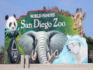 Gradina zoologica din San Diego