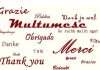 Ziua internațională a cuvântului MULȚUMESC Ziua internationala